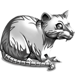 rat