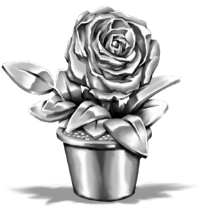 rose2